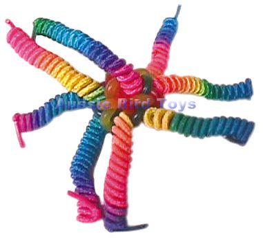 AC 034H SHOELACE WONDER