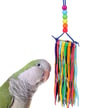 SB1202 RAINBOW AGLET SMALL